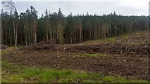 NH3940 : Cleared forest near Struy by Mike Pennington