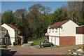 Woodland beside Skye Close, Torquay