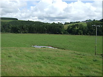 NT7259 : Pond and grazing near Ellemford Bridge by JThomas