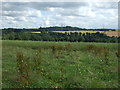 Farmland, Primrosehill