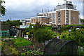 Allotments and telephone exchange