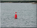 SW8332 : Lateral Buoy, West Narrows by David Dixon