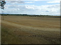 Stubble field, Edington