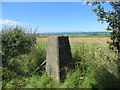 Trig point at Hillhouse