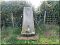 Hemphill Triangulation Pillar near the village of Moscow