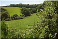 Field by Spanish Lane End