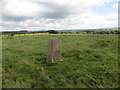 Trig point at Tarelgin