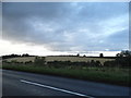 Fields by the B4192, Whittonditch