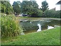 Aldbourne Pond