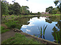 Longbottom Dam, Birstall, south end