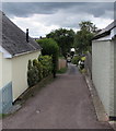 Bowling Green Lane, Honiton