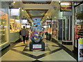 Birmingham Big Sleuth Wild City Bear Piccadilly Arcade