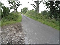 SU4269 : Unnamed Road in Wickham Heath by David Howard