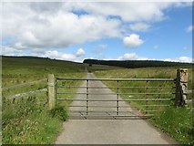 NY7676 : Gate on the road at Whygate by Graham Robson