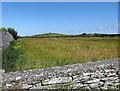 View North across cropland in the direction of Dooey Hill