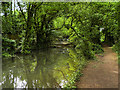 SU4619 : River Itchen above Stoke Lock by David Dixon