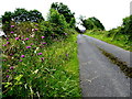 Drumlegagh Church Road, Bomackatall Upper