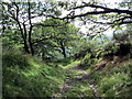 Tuag at Ffaldybrenin / Towards Ffaldybrenin