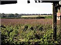 View from Copshall Farm towards Three Oaks