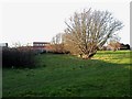 Public open space south of Amherst Road, Bohemia, St Leonards on Sea