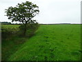 Footpath from Longtons Lane to Heath Farm, Gisburn Forest