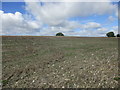 Ploughed field, Lane End Down