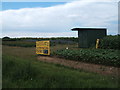 Sunflower field off the Roxwell Road