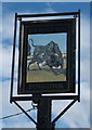 Sign for the Black Bull, Chelmsford