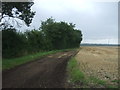 Farm track near Embleys Farm