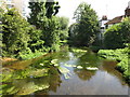 The River Colne, north of Oxford Road, Uxbridge