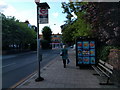 Cecile Park bus stop, looking north