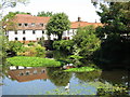 Heron fishing in the River Colne, north of Oxford Road, Uxbridge