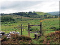 Llwybr Gelli Gaer/ Gelli Gaer Path