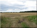 Arable field north of Broomhaugh