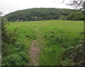 Public footpath west of Poplars Road, Mardy