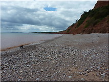 SY0581 : Beach and cliffs to the south & west of Budleigh Salterton by Richard Law