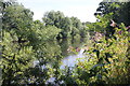 The River Dee near Eaton Hall