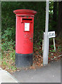 Elizabeth II postbox on High Elms, Woodford Green