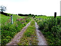 Rough lane, Tattyreagh Glebe