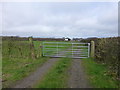 Gate at Gibsons Farm