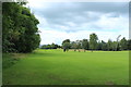 Dumfries and Galloway Golf Course