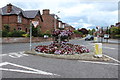 Flower Bed, Dumfries