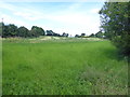 Grass field, Tattyreagh Glebe