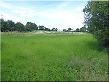 H4565 : Grass field, Tattyreagh Glebe by Kenneth  Allen