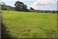 Field near Castle Brake