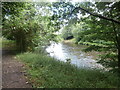 The River Taff, Pontypridd