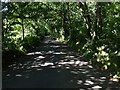 Apse Manor Road, near Shanklin