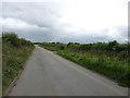 The lane from Allonby to Westnewton