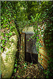 SH3868 : North Wales WWII defences: RAF Bodorgan, Anglesey - LAA Emplacement (9) by Mike Searle