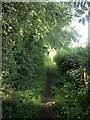 Footpath towards Desford